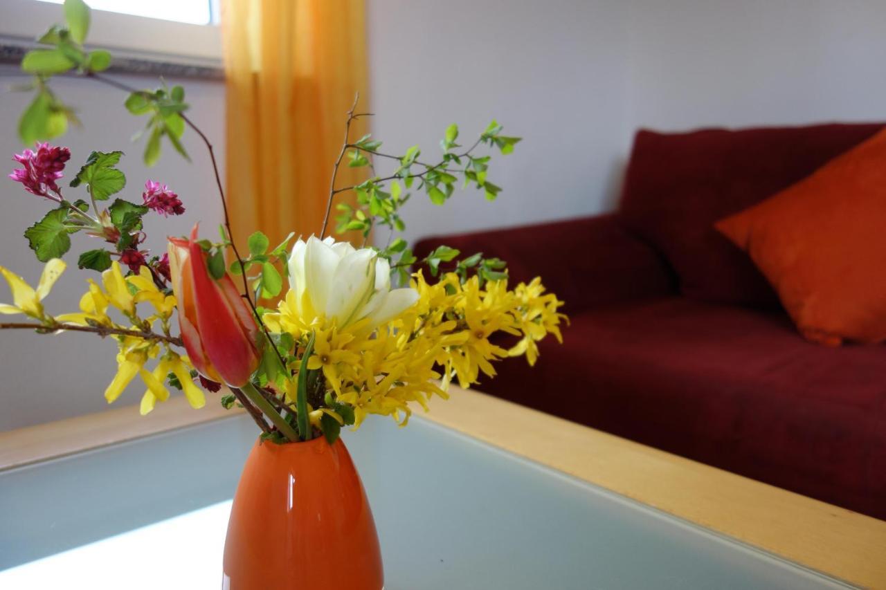 Ferienwohnung Katzheim Schlier Εξωτερικό φωτογραφία